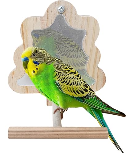 Amazon.co.jp: インコ鏡 鳥ミラーおもちゃ鳥ミラー鳥スタンドミラー